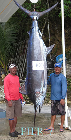 400 lbs. Marlin