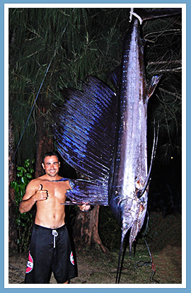 Sailfish